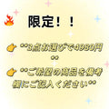 【限定!!】鎮店の逸品｜淡水パール×高級ジルコニア スピンデザインネックレス  （3点）